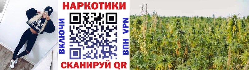 Как найти наркотики Себеж Каннабис СК Меф мяу мяу КОКАИН
