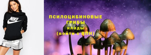 кристаллы Дмитриев