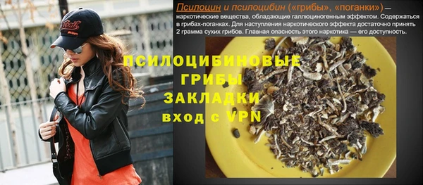 винт Дмитров