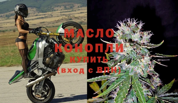 mix Ельня