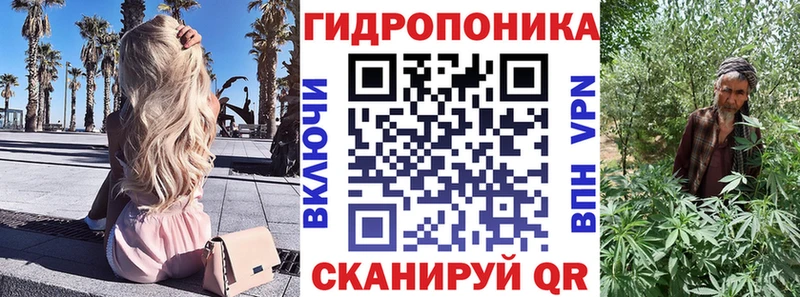 купить наркотик  блэк спрут сайт  Марихуана Ganja  Себеж 